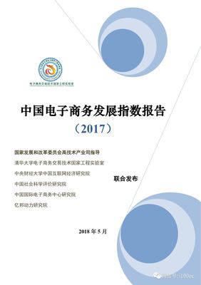 【報(bào)告】《中國(guó)電子商務(wù)發(fā)展指數(shù)報(bào)告(2017)》全文
