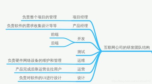 軟測基礎 測試流程詳細解釋
