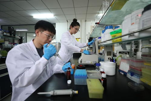 探訪北方粳稻育種栽培技術國家地方聯合工程實驗室 遼寧